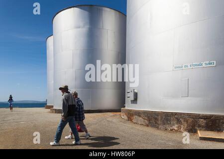 Australia, Western Australia, The Southwest, Albany, Whale World, former Whaling Station, whale oil stoage tanks Stock Photo