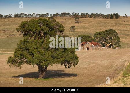 Australia, South Australia, Barossa Valley, Mount Pleasant, old homestead Stock Photo