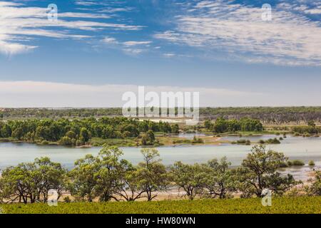 Australia, South Australia, Murray River Valley, Kingston on Murray, Banrock Station, The Wine and Wetland Centre, landscape Stock Photo