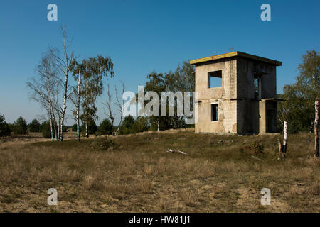 In Wilderness Jüterbog after more than 150 years as a military training area since 1992 in one of the rare Steppe landscapes in Germany nature rules.  Stock Photo