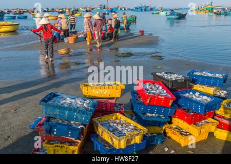 Vietnam, South Central Coast region, Mui Ne fishing village, return from fishing Stock Photo