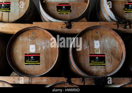 Haiti, Port au Prince, Barbancourt rum distillery, cellar Stock Photo