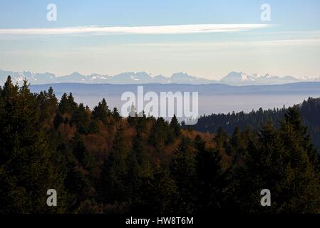 France, Haute Saone, Ballon de Servance (1216 m), top, views of the Bernese Alps Stock Photo