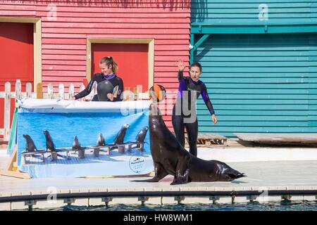 France, Alpes Maritimes, Antibes, Marineland, marine park, sea lions show Stock Photo