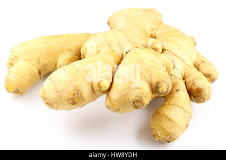 composition of a fresh ginger rhizome isolated on a white backgound Stock Photo