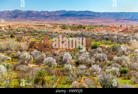 Ruins of a Kasbah in the Valley of Roses, Morocco Stock Photo