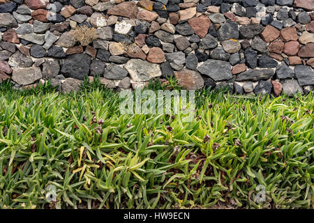 Close up garden Stock Photo