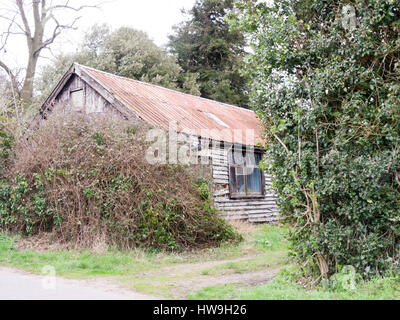 A rustic and shabby house all boarded up and abandoned Stock Photo