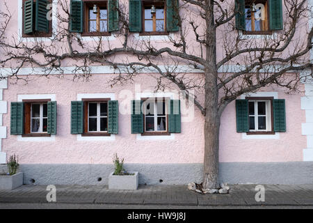 The tree grows next to the house on December 13, 2014 in Hallstatt, Austria. Stock Photo