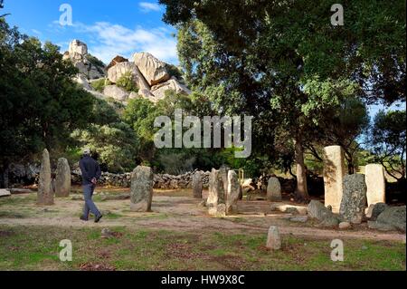France, Corse du Sud, Sartene, archaeological site of Cauria, Renaghju alignment Stock Photo