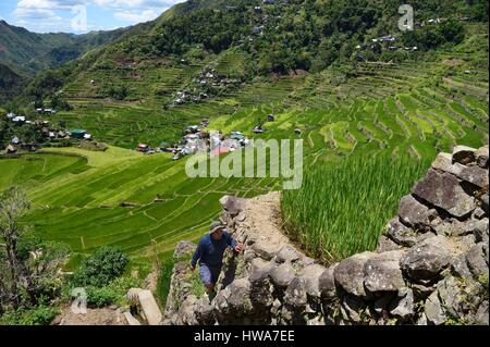 Philippines, Ifugao province, trek in the Banaue rice terraces around the village of Batad, listed as World Heritage by UNESCO Stock Photo