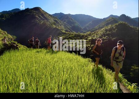 Philippines, Ifugao province, hiking in the Banaue rice terraces around the village of Cambulo, listed as World Heritage by UNESCO Stock Photo