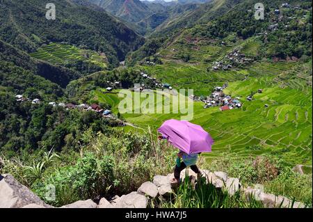 Philippines, Ifugao province, Banaue rice terraces around the village of Batad, listed as World Heritage by UNESCO Stock Photo