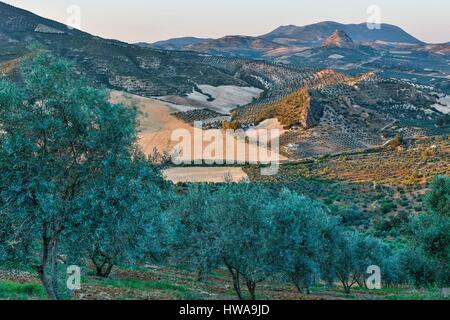 Spain, Andalusia, Cadix, Olvera, view of a white village on a rocky promontory at dawn Stock Photo