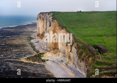 France, Seine-Maritime, Pays de Caux, Alabaster Coast (Cote d'Albatre), Benouville between Yport and Etretat, tractor in a field over the cliff, at lo Stock Photo