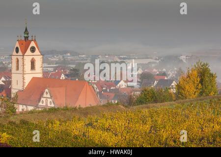 Germany, Baden-Wurttemburg, Kaiserstuhl Area, Endingen, elevated view of the Peterkirche church and vineyards, fog, dawn, autumn Stock Photo