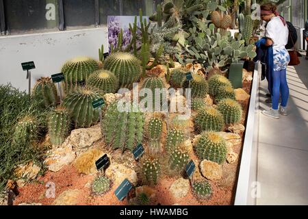 France, Paris, National Museum of Natural History, Large greenhouses of the Jardin des Plantes, Greenhouse deserts and arid environments Stock Photo