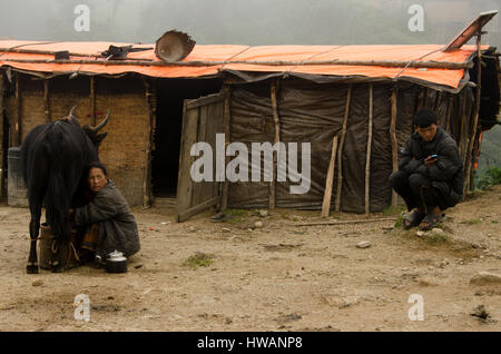 Milking and Playing, Ramechhap, Nepal Stock Photo