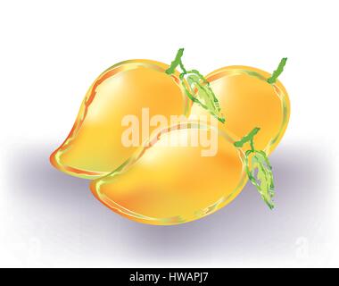 Yellow mangoes Stock Vector