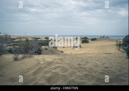 a view of the Natural Reserve of Dunes of Maspalomas, in Gran Canaria, Canary Islands, Spain Stock Photo