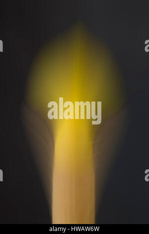 Abstract Flame of a Burning Matchstick on Dark Background Stock Photo