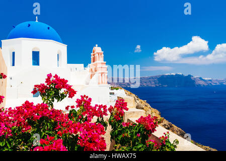 Focus on bougainvillea bloom in front of St. Dimitrios church in Oia, Santorini Stock Photo