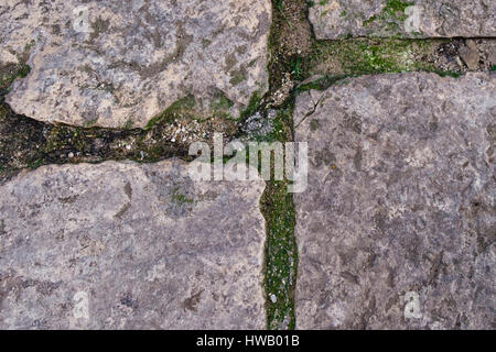 Ancient Stone Pavement close up Stock Photo