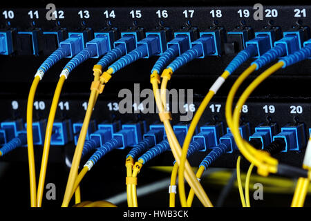 blue optical connectors switch on the patch panel Stock Photo