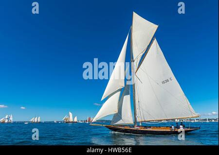 France, Finistere, Brest, Brest 2016 International Maritime Festival, large gathering of traditional boats from around the world, every four years for a week, Pen Duick of Eric Tabarly Stock Photo