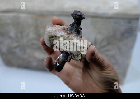 Bet Shemesh, Israel, 19th March: An Israeli archeologist holds a long nail driven through ankle bone from the 1st century ossuary of Yehohanan, the only archaeological evidence of crucifixion ever discovered at the National Treasures Storerooms of the Israel Antiquities Authority near the city of Bet Shemesh on 19 March 2017. Credit: Eddie Gerald/Alamy Live News