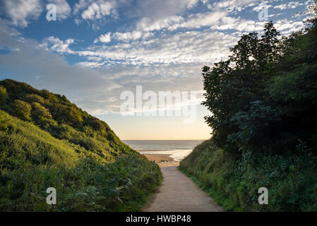 Path leading down to Hunmanby sands on a beautiful morning. Filey Bay, North Yorkshire, England. Stock Photo