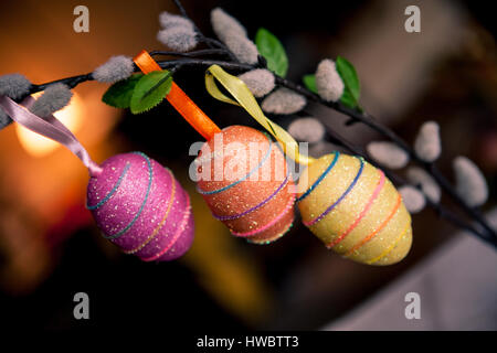Three colored easter eggs hanging in a willow twig, easter decoration concept Stock Photo