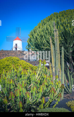 A Windmill makes a recognizable landmark for the Garden of Cactus, on the island of Lanzarote, Canary Islands Stock Photo