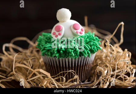 Bunny in the grass Easter cup cake,selective focus Stock Photo