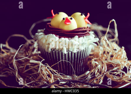 Chickens in the nest on Easter cup cake,selective focus Stock Photo