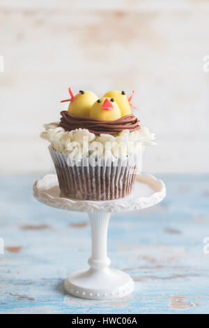 Little birds in the nest on cup cake,selective focus Stock Photo