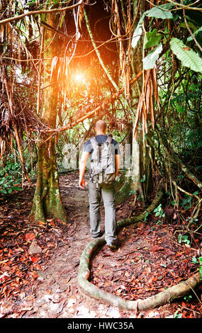 man walk in malaysia rainforest Stock Photo