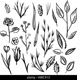 Floral designs  detail sketch Stock Vector