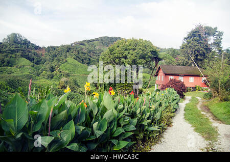 Rural green landscape, simple cottage Stock Photo