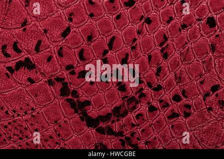 Red leather texture background. Closeup photo. Skin reptiles such as crocodile or snake. Stock Photo