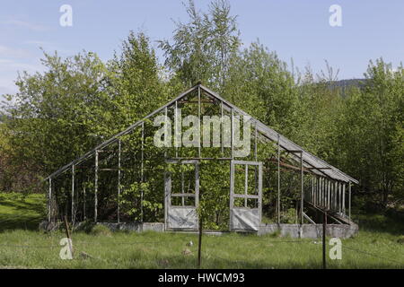 old abandoned greenhouse Stock Photo