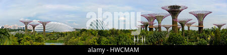 Horizontal panoramic (3 picture stitch) view of the Gardens by the Bay in Singapore. Stock Photo