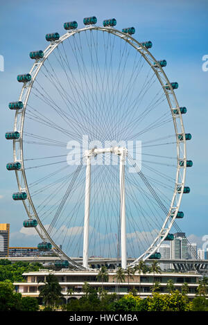 Vertical view of the Singapore Flyer big wheel in Singapore. Stock Photo