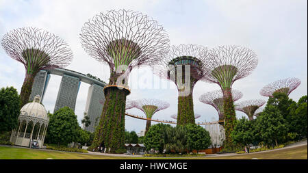Horizontal panoramic (2 picture stitch) view of the OCBC skyway at the Supertrees at the Gardens by th Stock Photo