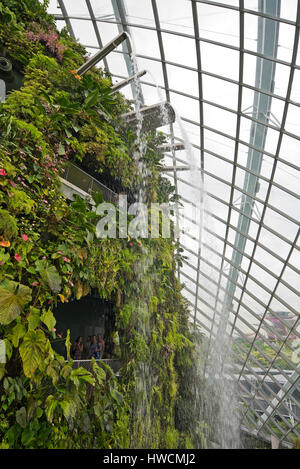 Vertical view of Cloud Mountain at Gardens by the Bay in Singapore. Stock Photo