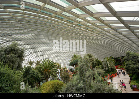 Horizontal aerial view of the Flower Dome at the Gardens by the Bay in Singapore. Stock Photo