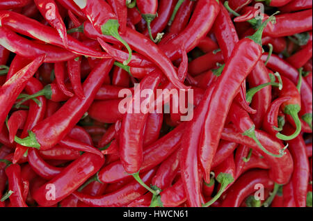 Group of peppers of various colors Stock Photo