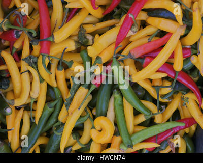 Group of spicy peppers of various colors Stock Photo