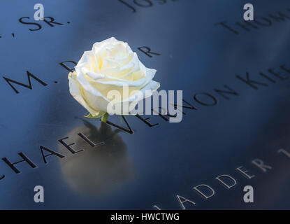 Birthday white rose left near name of victim engraved on bronze parapet of 9/11 Memorial at World Trade Center Ground Zero  - New York, USA Stock Photo