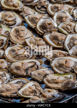 Freshness open oysters, Frische geöffnete Austern Stock Photo